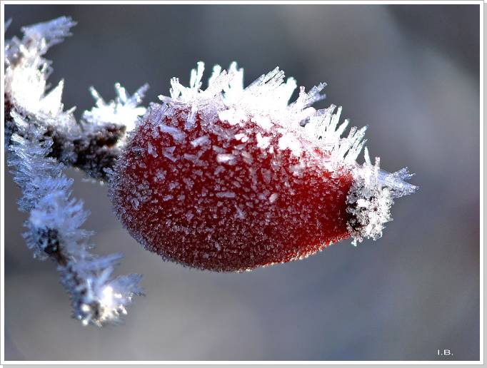 Diashowbild